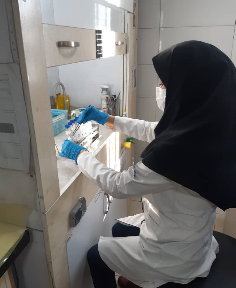 غربالگری فصلی بیماری‌های منتقله از آب و غذا در مرکز بهداشت جنوب تهران